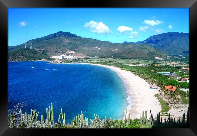 Playa Puerto Cruz Framed Print by World Images