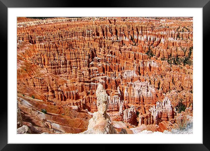 Bryce Canyon Framed Mounted Print by World Images