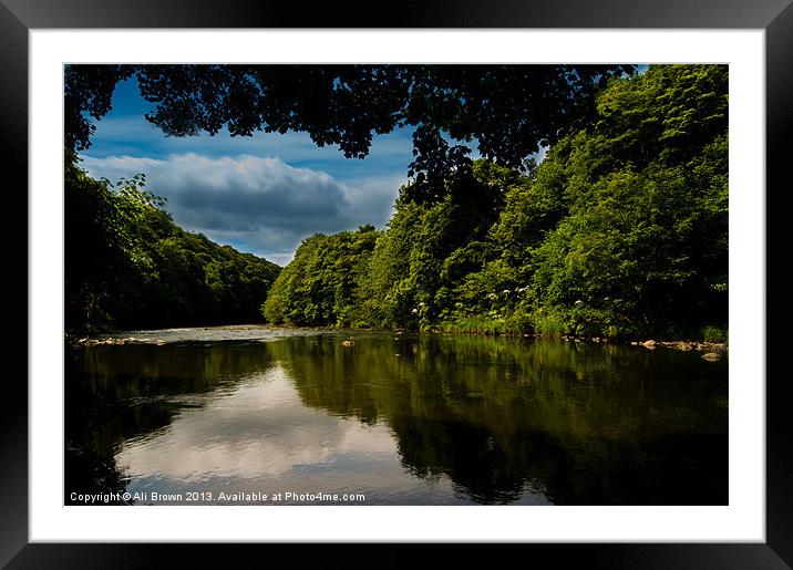 Summer Walks Framed Mounted Print by Ali Brown