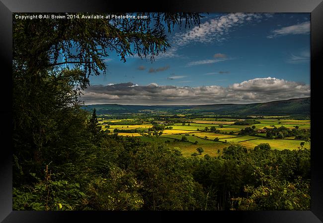  Yorkshire Tranquility Framed Print by Ali Brown