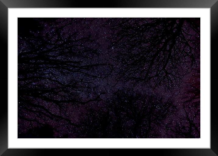 Stars Through Trees Framed Mounted Print by Col Sm