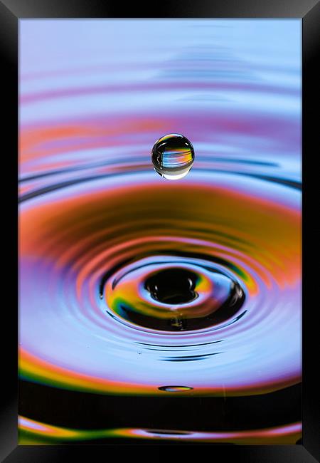 Drop! Framed Print by Jonathan Swetnam