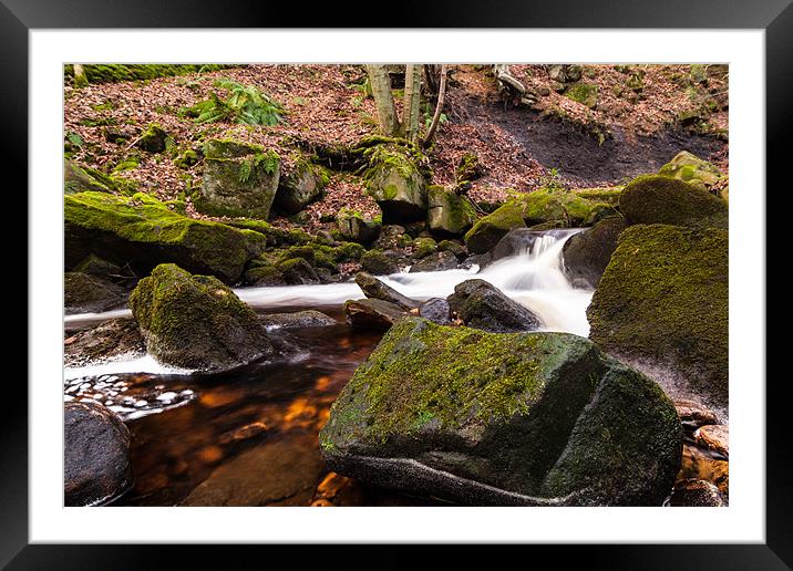 Padley Gorge Framed Mounted Print by Jonathan Swetnam