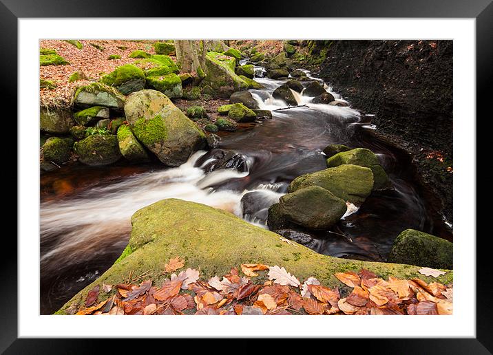 Padley Gorge Framed Mounted Print by Jonathan Swetnam