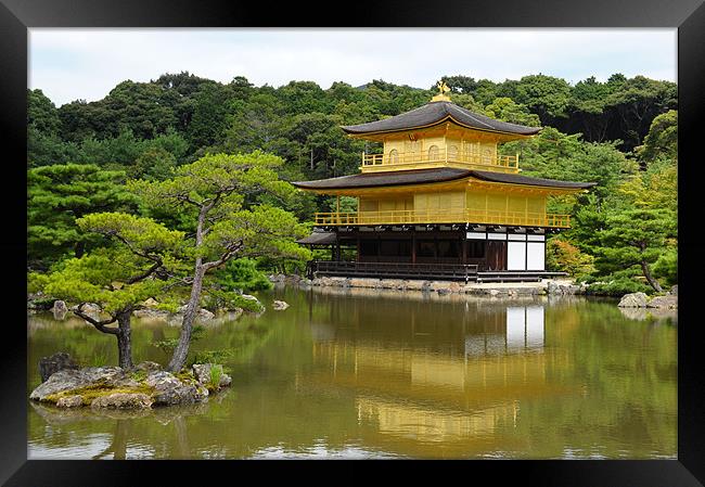 THE GOLDEN PAVILION JAPAN Framed Print by Trevor Stevens