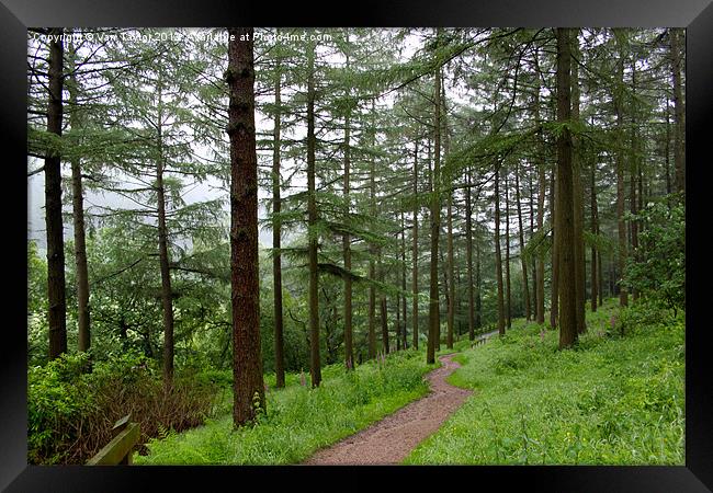 Woodland Path To Fairholmes - Ladybower Reservoir Framed Print by Vanna Taylor