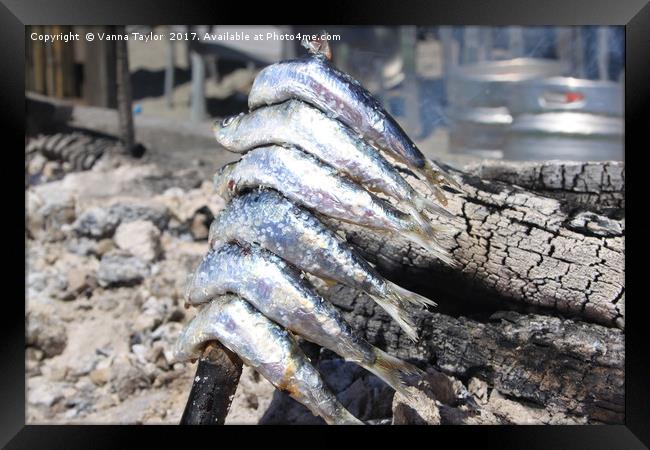 Sardines For Lunch Framed Print by Vanna Taylor