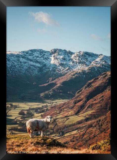 The Langdale Valley Framed Print by Gary Richardson