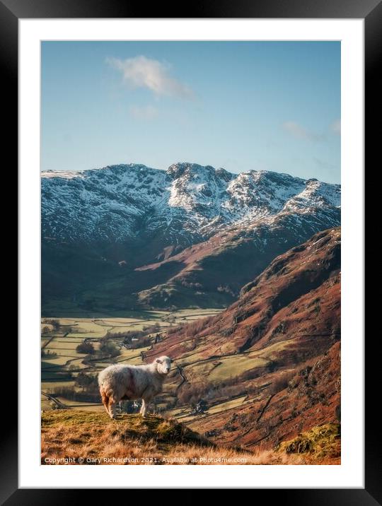 The Langdale Valley Framed Mounted Print by Gary Richardson