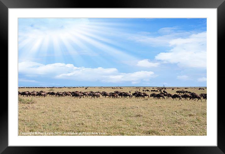 Heaven over Africa Framed Mounted Print by Roy Evans