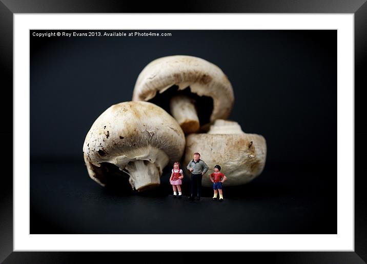 The borrowers and the mushrooms Framed Mounted Print by Roy Evans