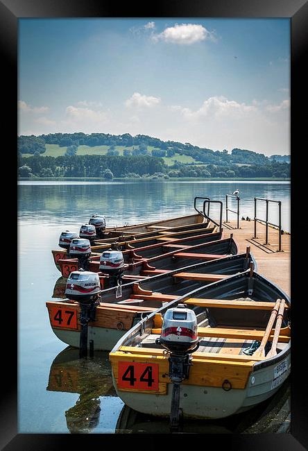 Lake on a summers day Framed Print by Judith Parkyn