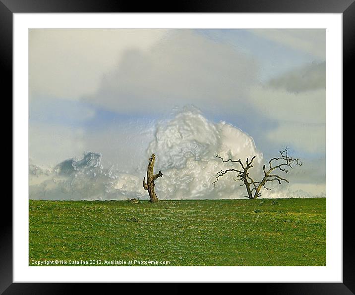 February Fields Framed Mounted Print by Nik Catalina