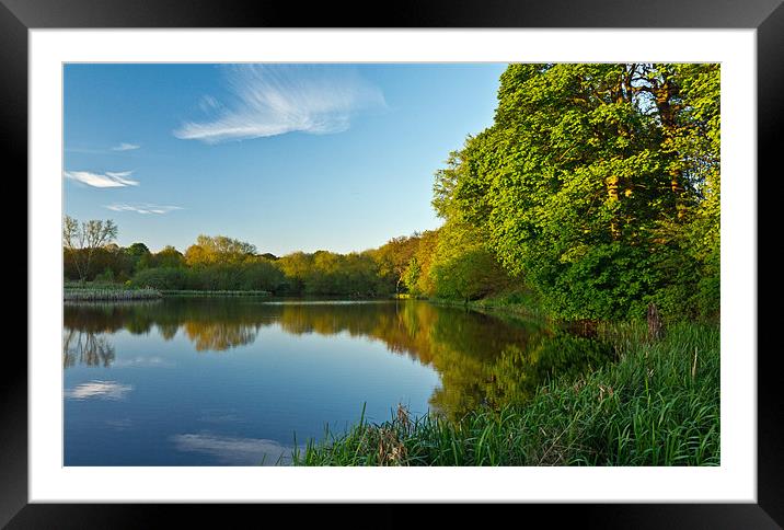 Lake reflections Framed Mounted Print by Dave Evans