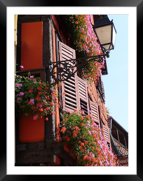 Alsace, France, window box flowers Framed Mounted Print by Christopher Mullard