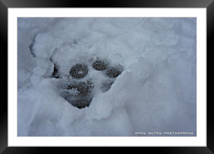 Snowy Track Framed Mounted Print by Andy Pilcher