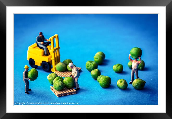 Harvesting the Miniscule: Pea Operation Framed Mounted Print by Mike Shields