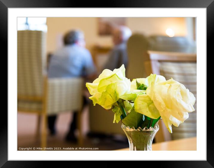 Pale yellow roses start to wilt as a conversation  Framed Mounted Print by Mike Shields