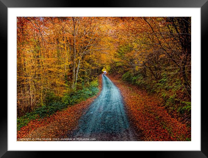 An Autumn Path Framed Mounted Print by Mike Shields