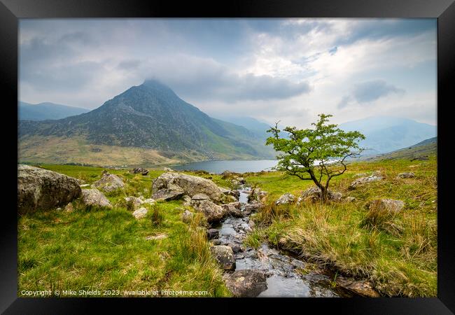 Lone Tree and Tryfan Framed Print by Mike Shields