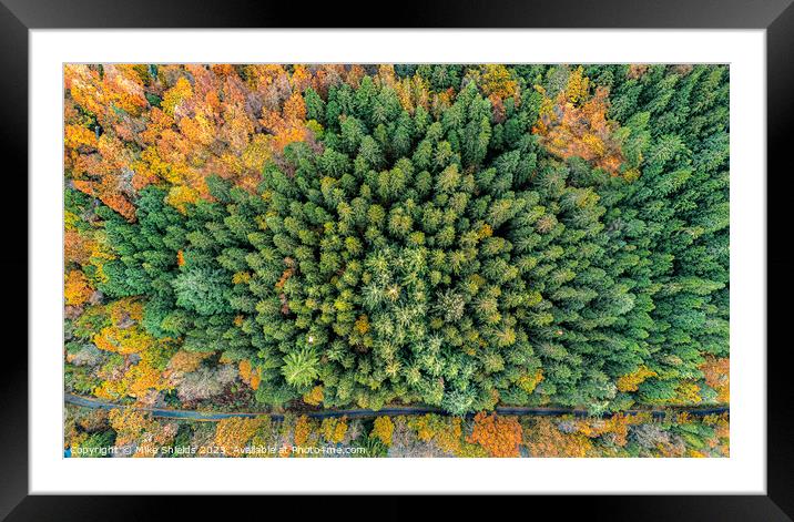 Top Down Forest Framed Mounted Print by Mike Shields