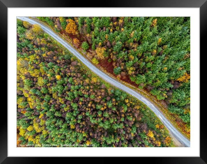 Forest Road by Drone Framed Mounted Print by Mike Shields