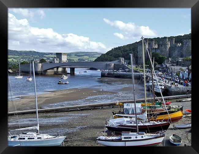 Conwy Harbour Framed Print by philip clarke