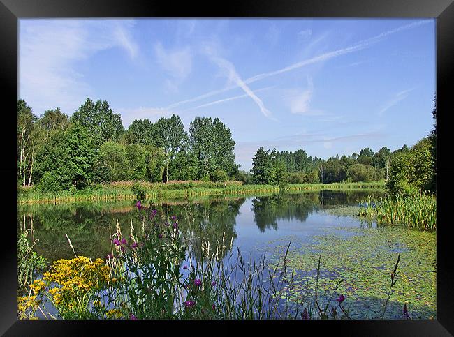 Morning at Drinkwater Country Park Framed Print by philip clarke