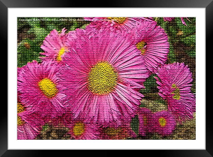 Chrysanthemums pink / yellow mosaic style Framed Mounted Print by Anthony Kellaway