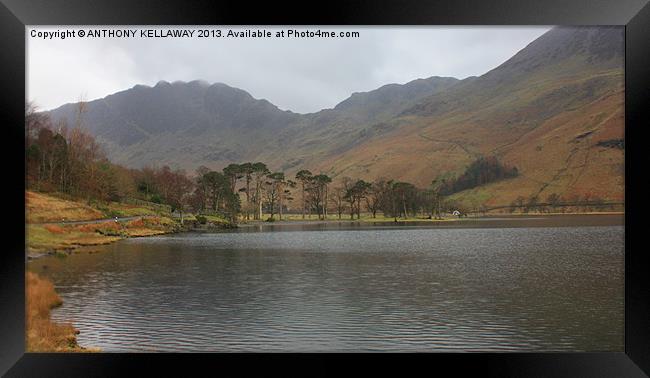 HAYSTACKS FROM BUTTERMERE Framed Print by Anthony Kellaway