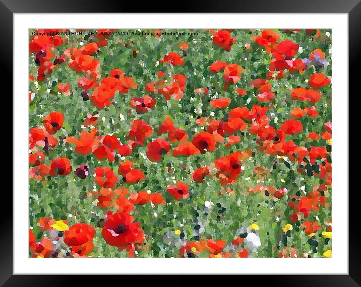 poppy painting Framed Mounted Print by Anthony Kellaway