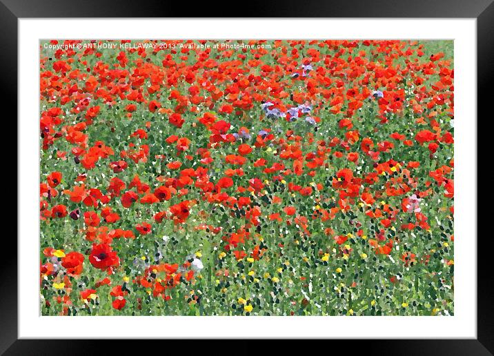 POPPY FIELDS OIL PICTURE Framed Mounted Print by Anthony Kellaway