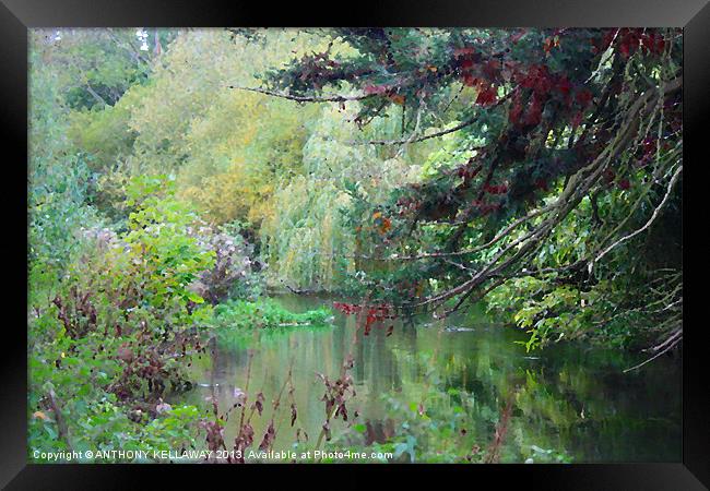 RIVER ITCHEN IN AUTUMN PAINTING Framed Print by Anthony Kellaway