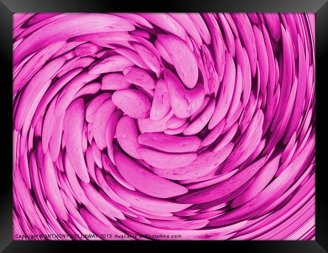 LILAC PEBBLE SWIRL ABSTRACT Framed Print by Anthony Kellaway