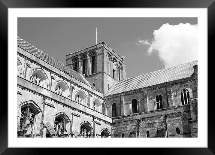 Winchester Cathedral Framed Mounted Print by Anthony Kellaway