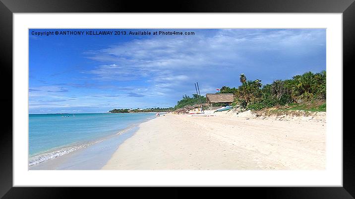VARADERO BEACH CUBA Framed Mounted Print by Anthony Kellaway