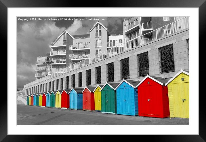 BOSCOMBE BEACH HUTS Framed Mounted Print by Anthony Kellaway