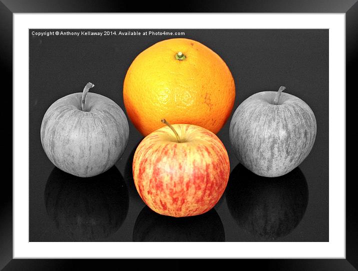 APPLES AND ORANGE Framed Mounted Print by Anthony Kellaway