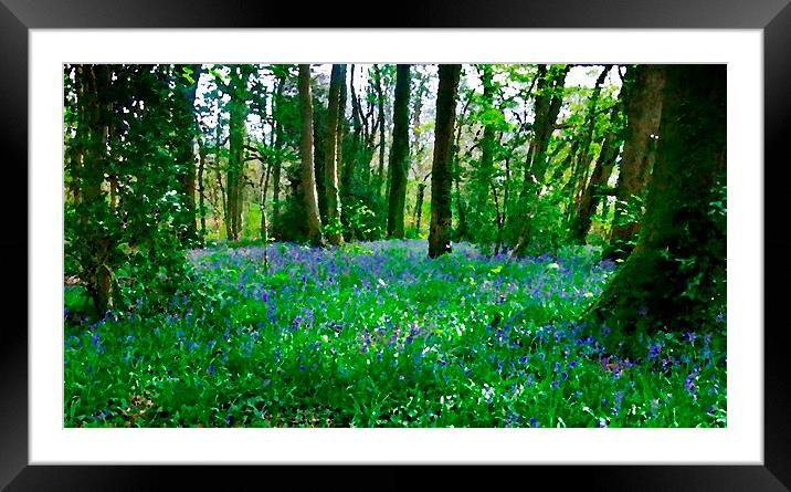 BLUEBELLS OIL PAINTING Framed Mounted Print by Anthony Kellaway