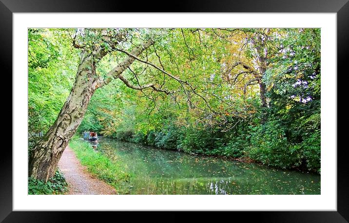  Basingstoke canal at Fleet Framed Mounted Print by Anthony Kellaway