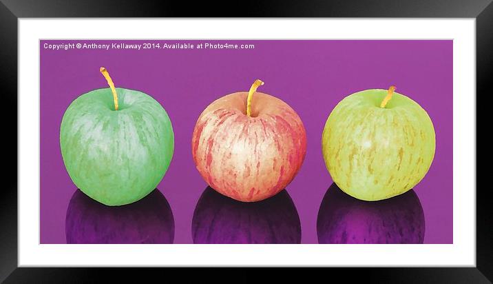  APPLES  Framed Mounted Print by Anthony Kellaway