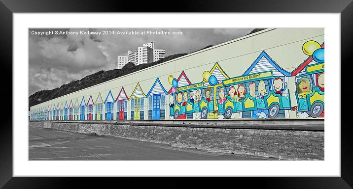  Bournemouth land train shed Framed Mounted Print by Anthony Kellaway