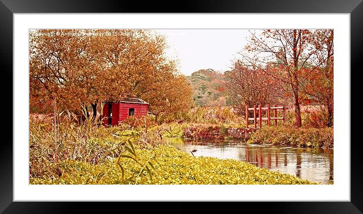  RIVER ITCHEN FISHING HUT Framed Mounted Print by Anthony Kellaway