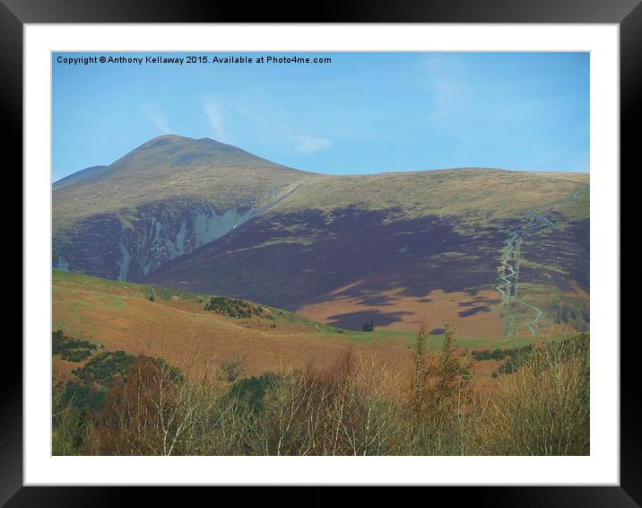  SKIDDAW AND JENKIN HILL Framed Mounted Print by Anthony Kellaway