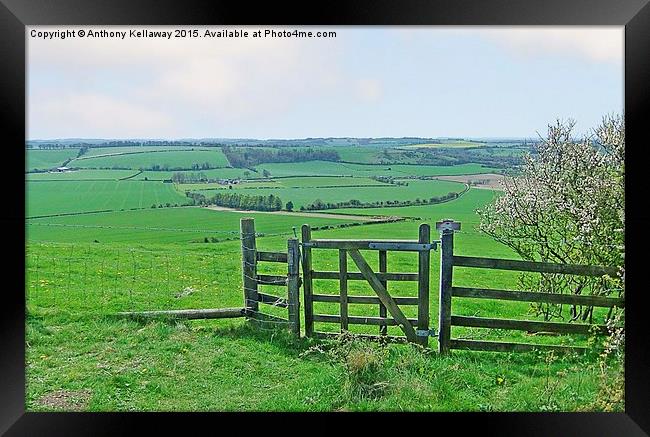  MEON VALLEY Framed Print by Anthony Kellaway