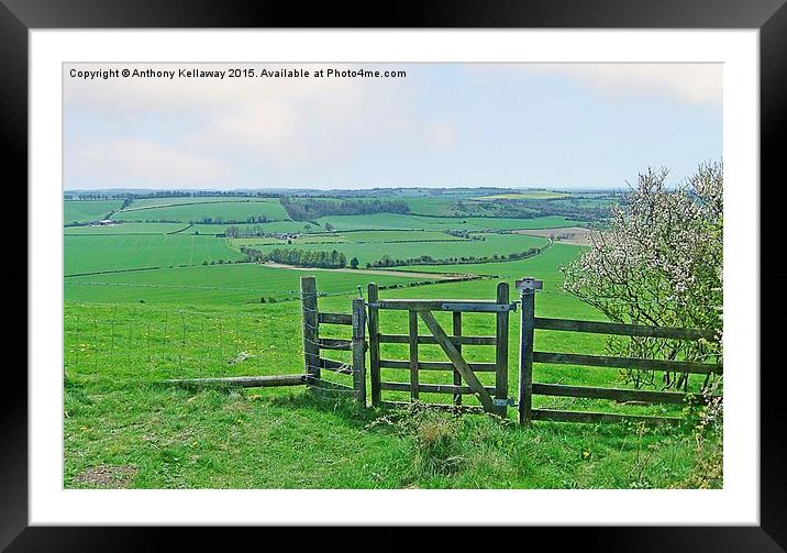  MEON VALLEY Framed Mounted Print by Anthony Kellaway