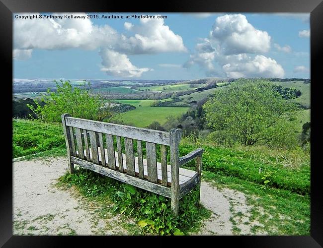  OLD WINCHESTER HILL VIEW Framed Print by Anthony Kellaway