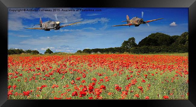  SPITFIRE AND HURRICANE FLYPAST Framed Print by Anthony Kellaway