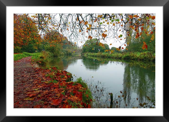  ITCHEN NAVIGATION Framed Mounted Print by Anthony Kellaway