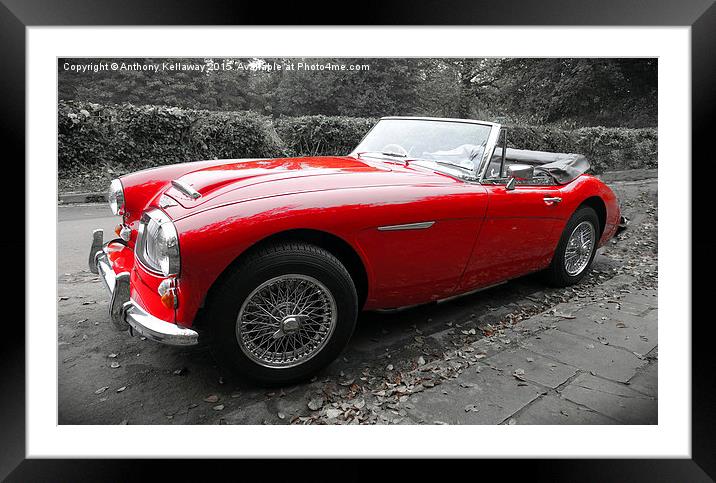  AUSTIN HEALY Framed Mounted Print by Anthony Kellaway